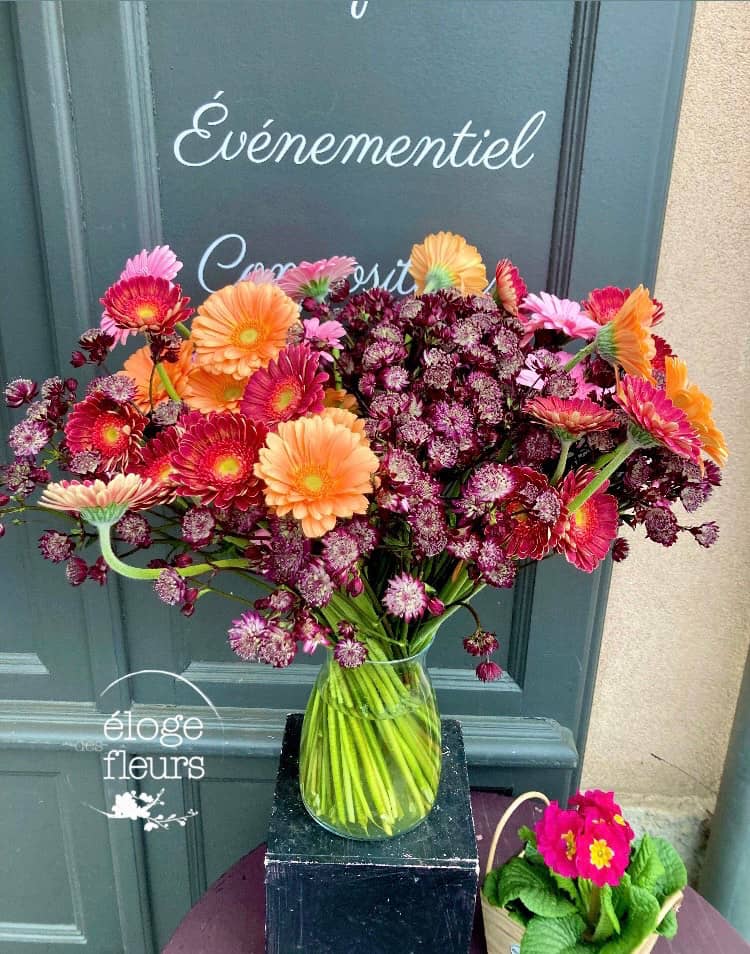 Magasin éloge des fleurs illkirch